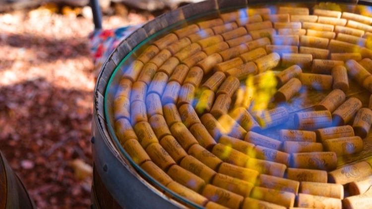 Imagem de vitrine